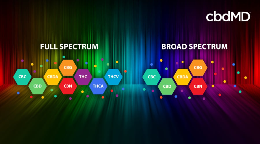 El Aceite CBD Full Spectrum, excelente opción para el cuidado de