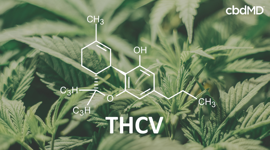 What Is THCV: Benefits, Effects, And More | CbdMD Health & Wellness ...