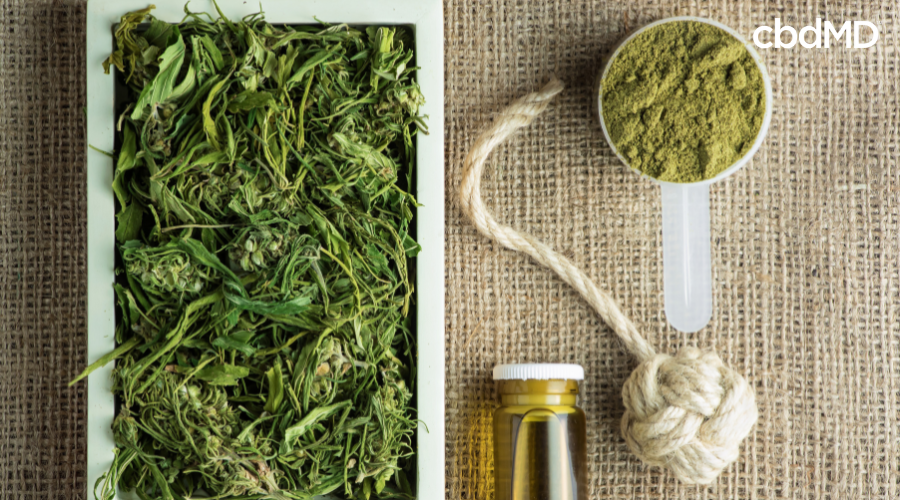 The Green Wonders of Hemp: The Uses and Benefits of Hemp | cbdMD Health ...