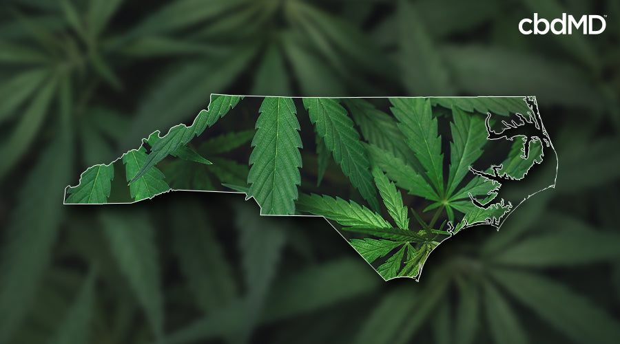 Medical Marijuana In NC: Understanding The Law | CbdMD